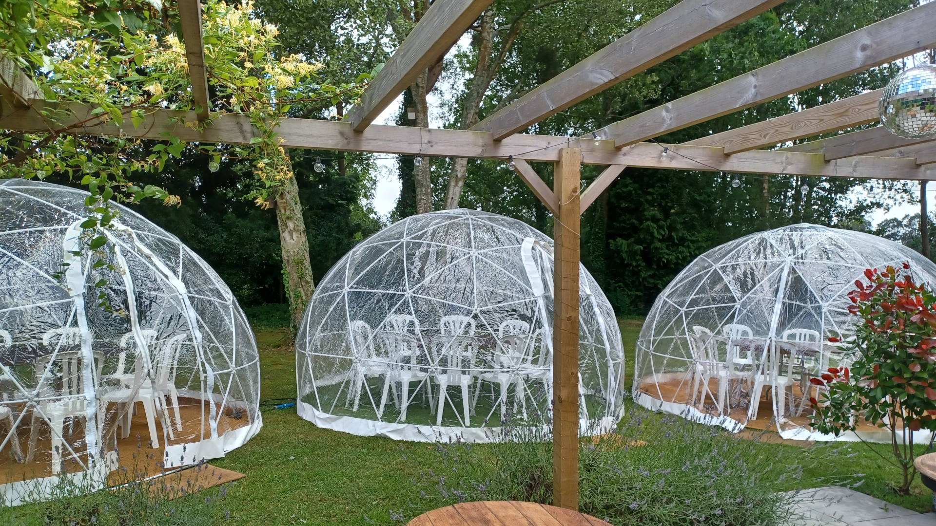 Garden igloo hire in Fareham, Hampshire